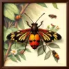 Realistic Jungle Entomology Paint By Numbers