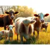 Sunlit Vintage Pasture Animals Paint By Numbers