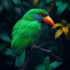 Tropical Emerald Canopy Bird paint by numbers