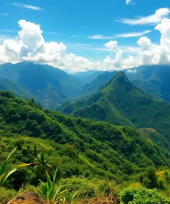 Tropical Llactapata Ridge View Paint By Numbers