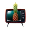 Vintage Broadcast Pineapple Still Paint By Numbers