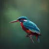 Vintage River Kingfisher paint by numbers