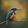 Vintage River Kingfisher paint by numbers